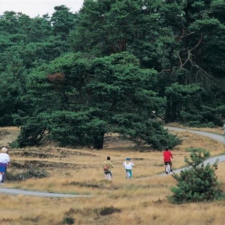 natuur 4.jpg